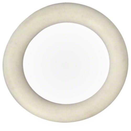 Pentair O-Ring Drain Plug