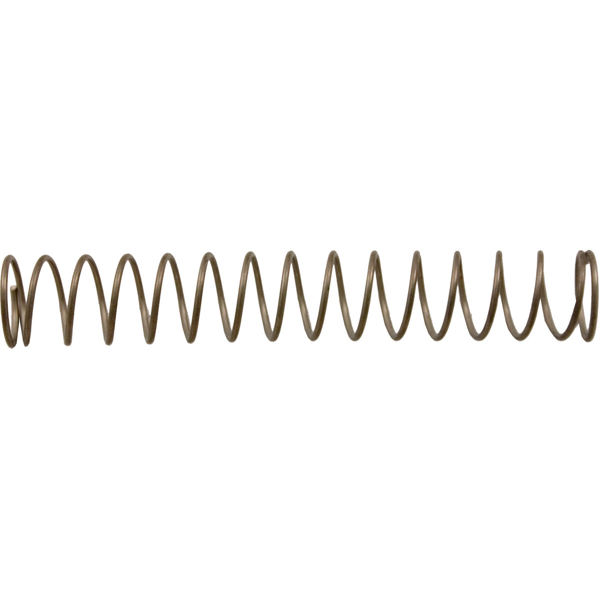 Pentair #3 Spring Stainless Steel