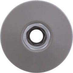 1" Gray Large Face Ozone Cluster Spa Jet