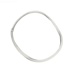 Gasket, large, R36009 basket