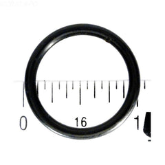 O-Ring, Lateral - Yardandpool.com