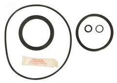 O-Ring & Gasket Kit - Yardandpool.com